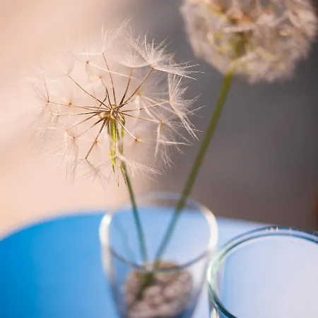 On The Rocks Aparthotel 3*