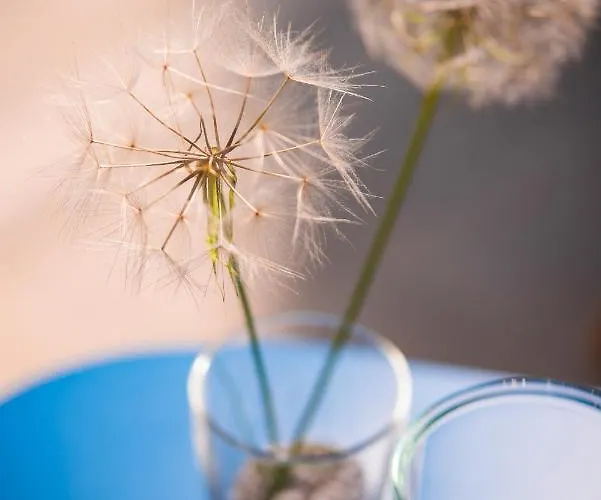 On The Rocks Apartahotel 3*